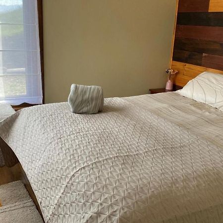 Cabanas Las Terrazas De Iculpe Lago Ranco Bagian luar foto